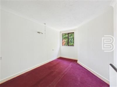 Picture 14
